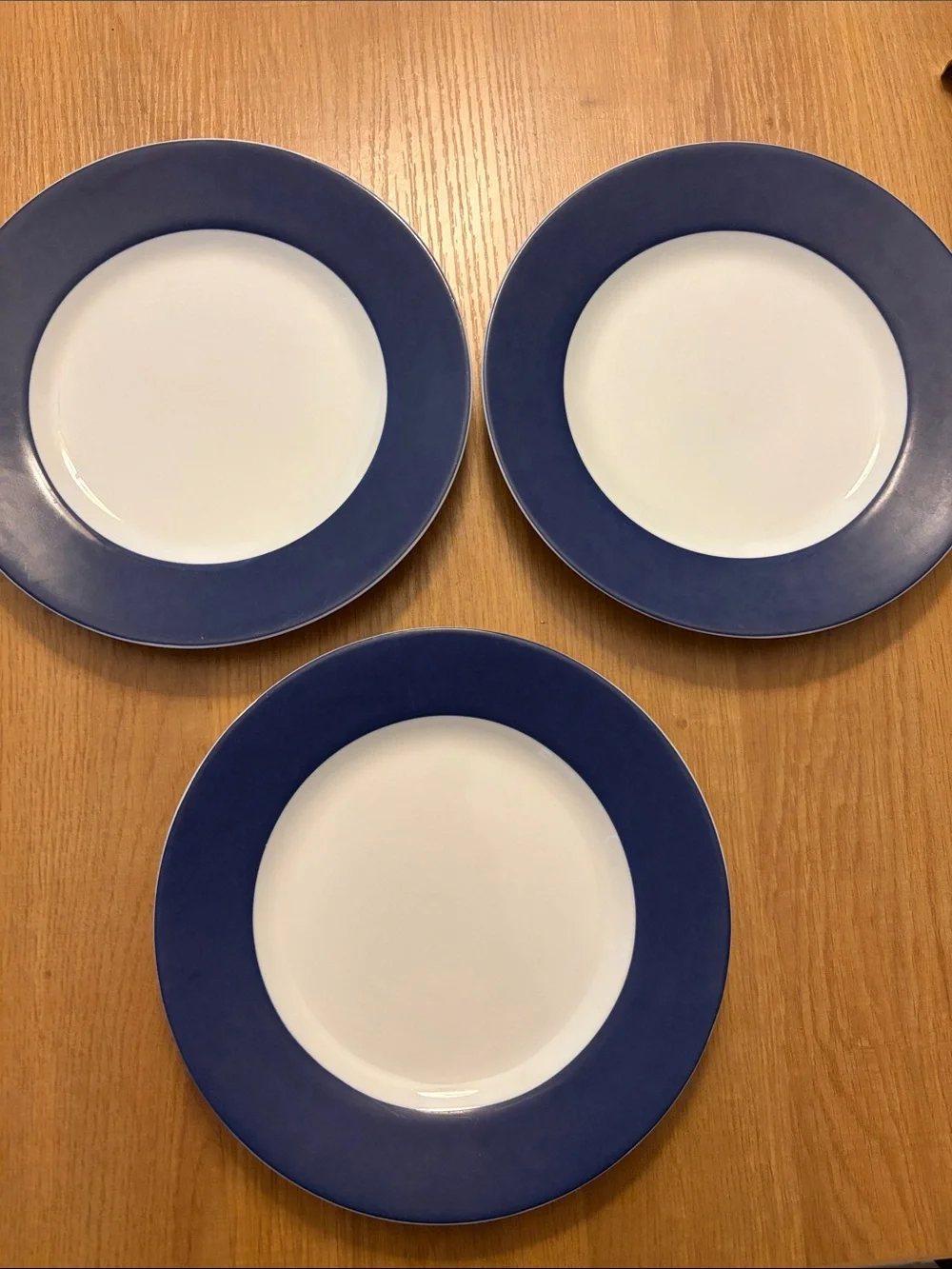 Crate&Barrel White Center Dinner Plates with Navy Rim - Set of 3